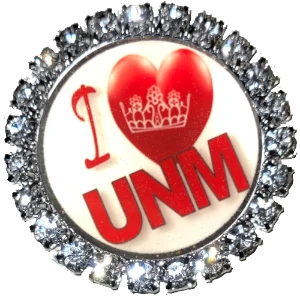 I Love UNM - Sash Secure