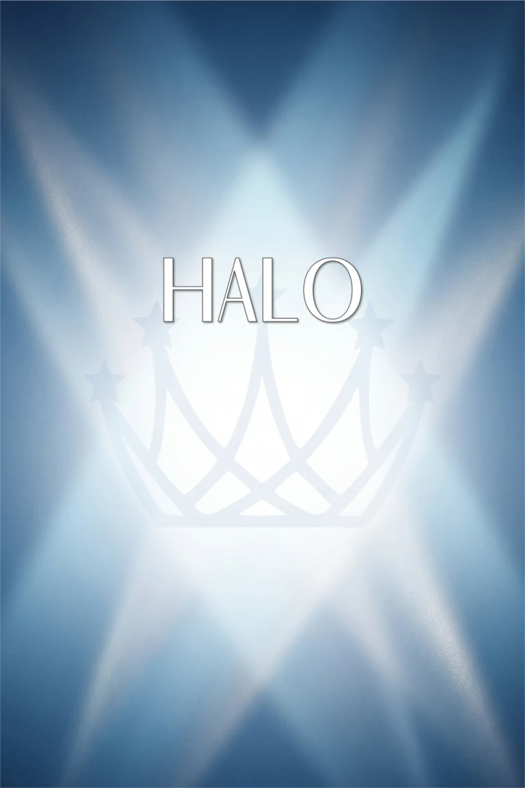 Ideal MISS Door Banner - Image 4